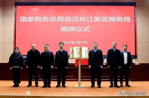 武汉长江爆料最新消息新闻,聚焦突发新闻事件详情