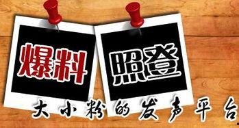 新闻爆料平台北京,新闻爆料平台最新动态曝光！”